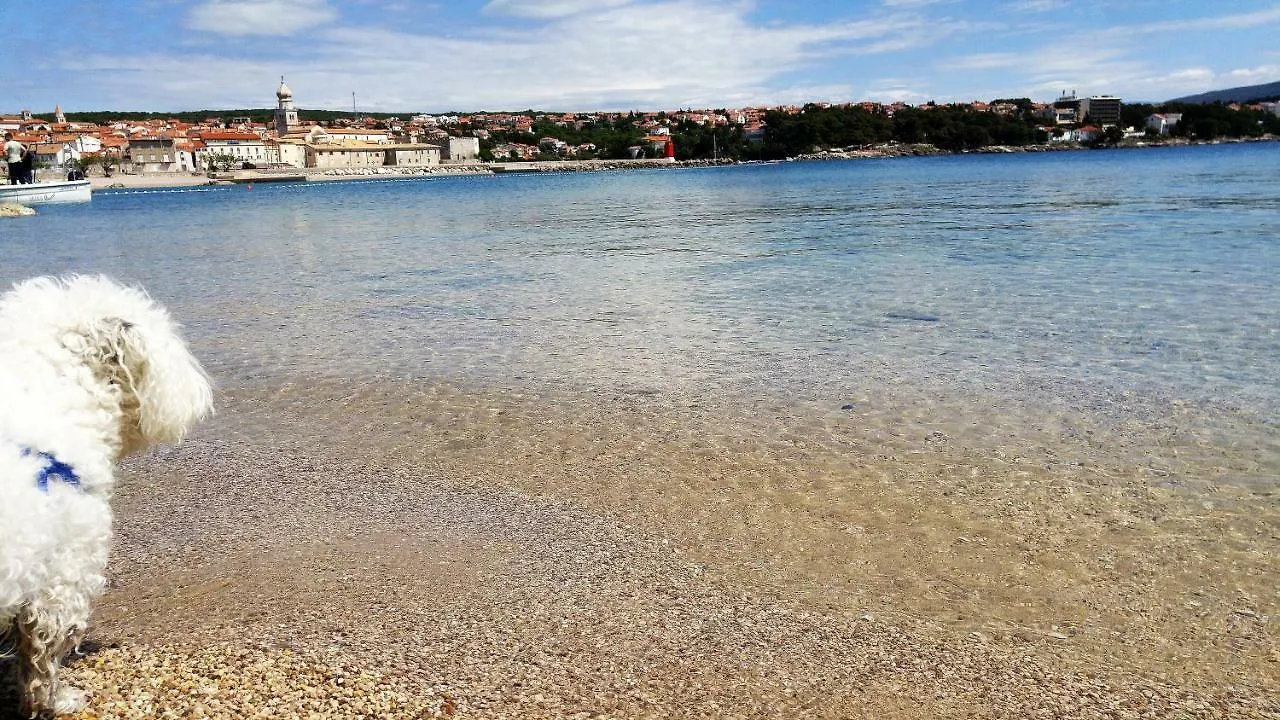 The Golden Island Apartments Krk Town 0*,